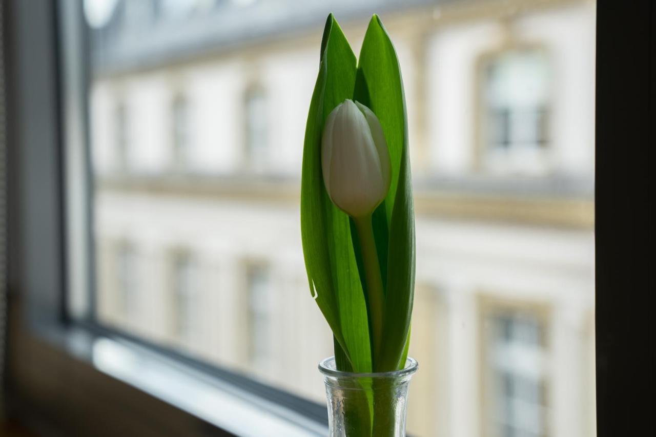 Sankt Andreas Hotel ดุสเซลดอร์ฟ ภายนอก รูปภาพ