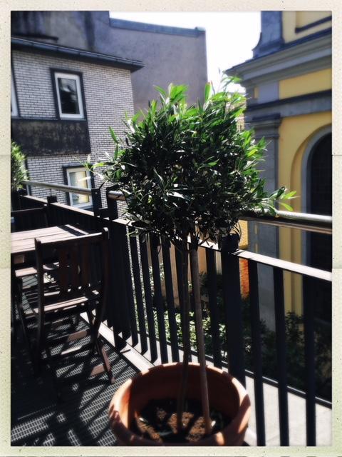 Sankt Andreas Hotel ดุสเซลดอร์ฟ ภายนอก รูปภาพ